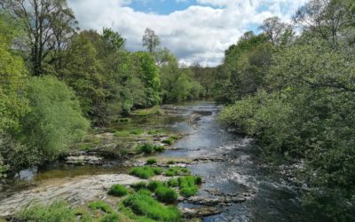 Severn Catchment